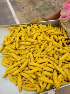 زردچوبه