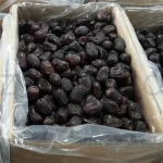 خرما مضافتی