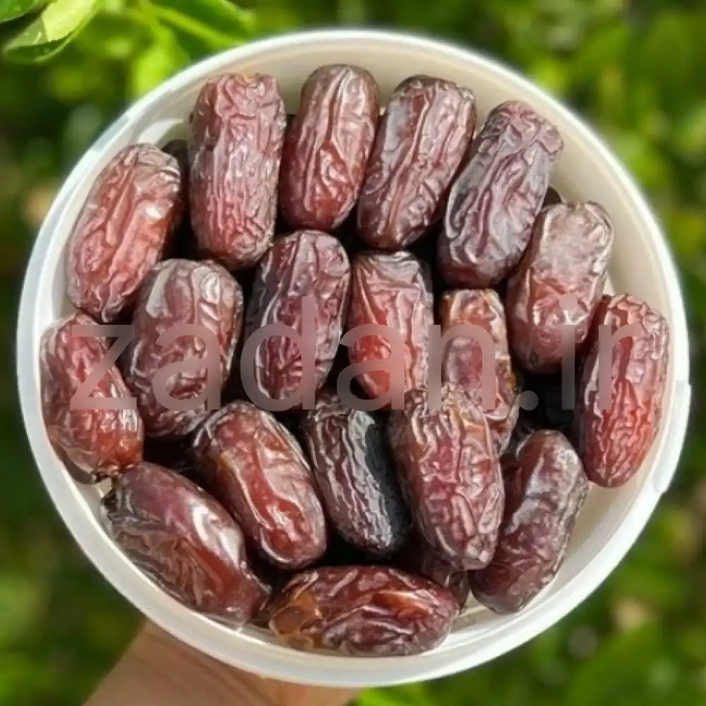خرمای مدجول