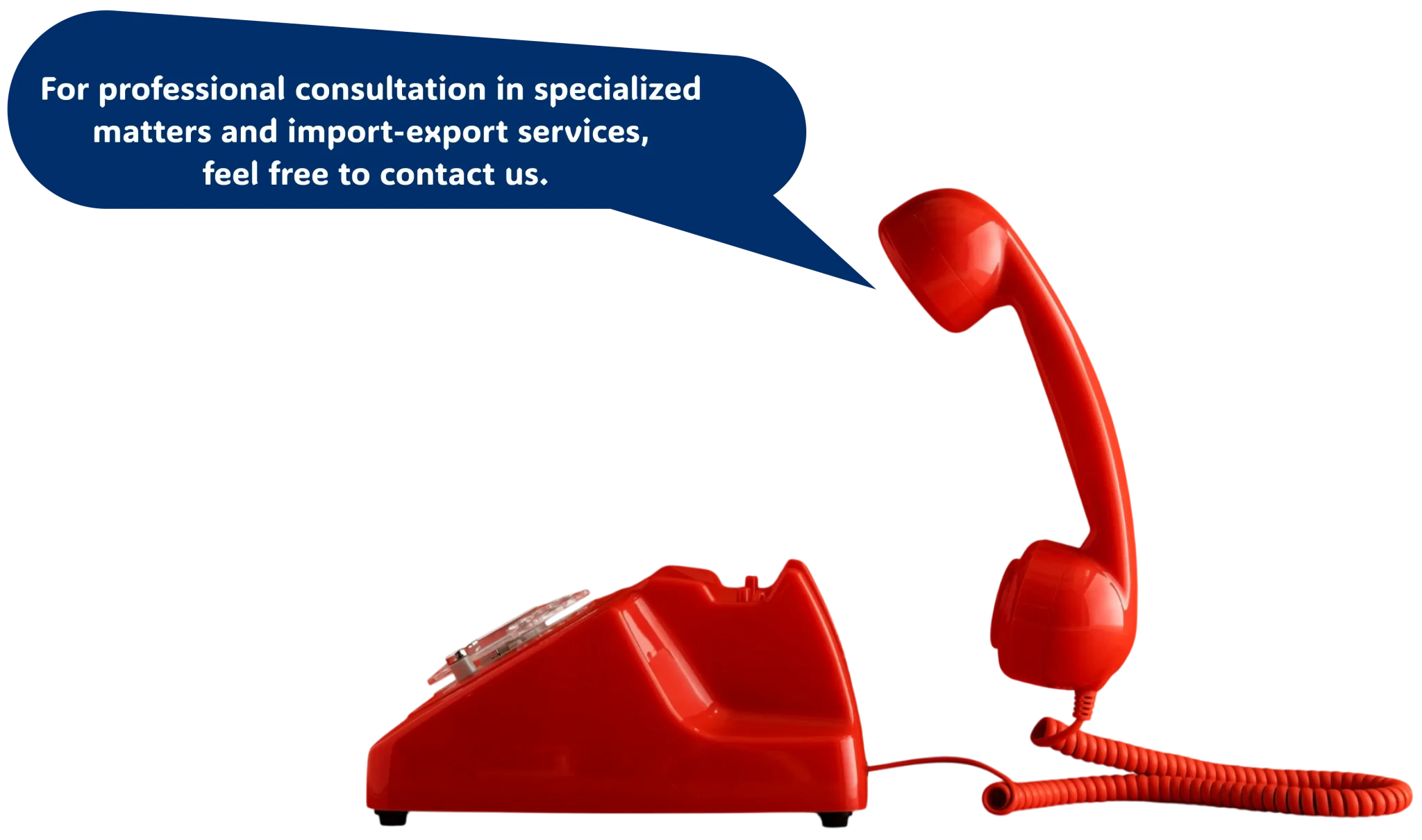 CONTACT US