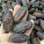 مدجول