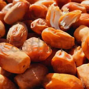 خرمای زاهدی